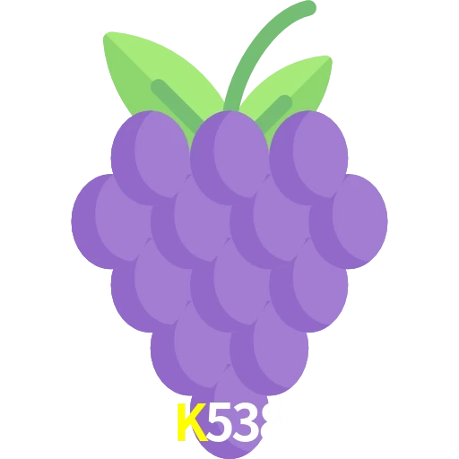 K538