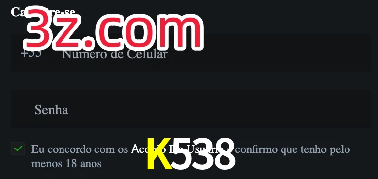 K538